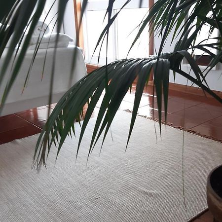 Sun & Sand Guesthouse Esposende Esterno foto